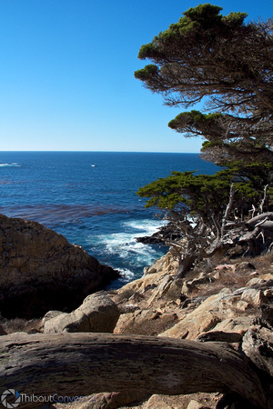 Point Lobos SP